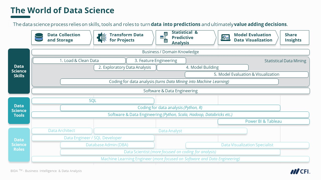 The World of Data Science Infographic